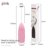Portable Mini Electric whisk and  Blender